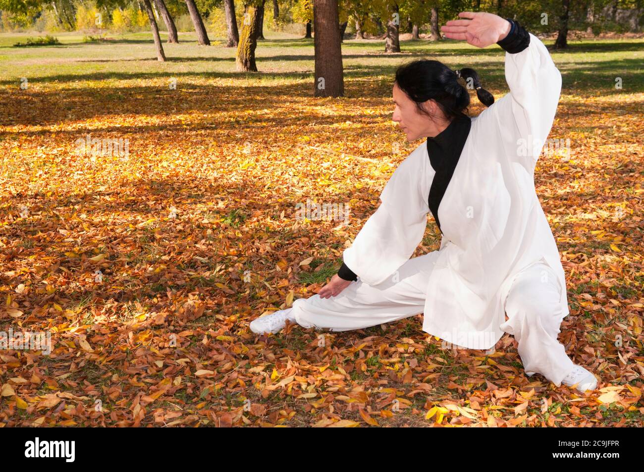 Martial arts practice. Stock Photo