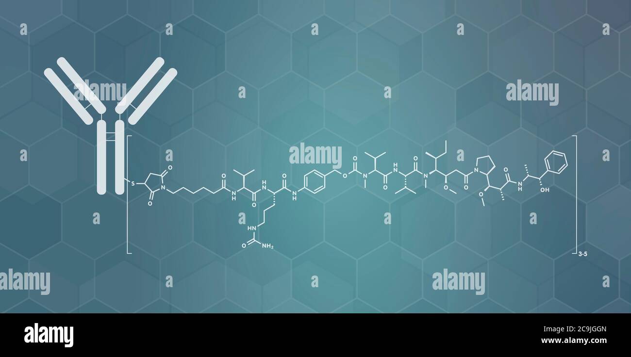Brentuximab vedotin antibody-drug conjugate molecule. Consists of ...