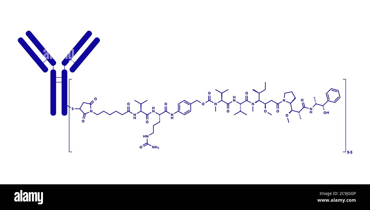 Brentuximab vedotin antibody-drug conjugate molecule. Consists of ...