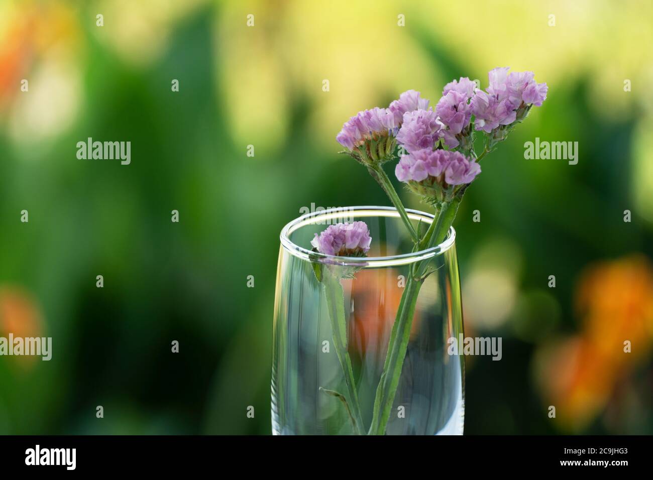 purple small flower in drinking glass with summer morning garden