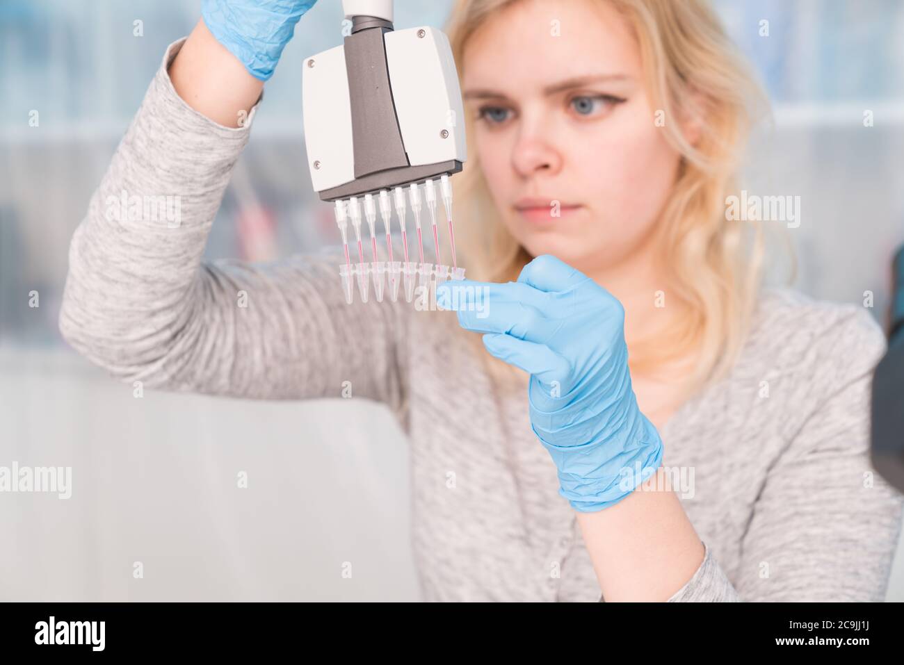 student-using-multichannel-pipette-stock-photo-alamy