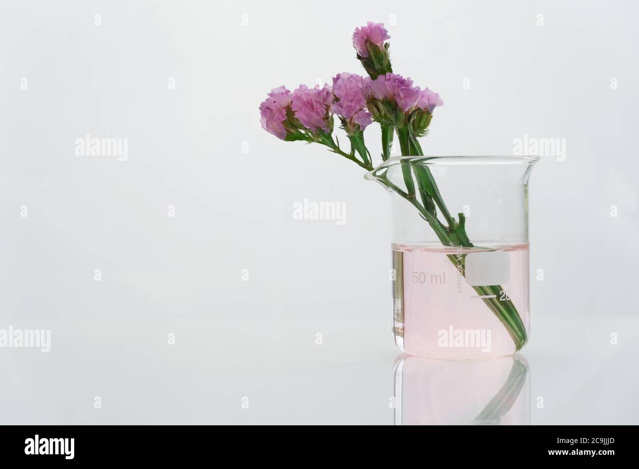 purple natural flower with clear science beaker in white cosmetic laboratory background Stock Photo
