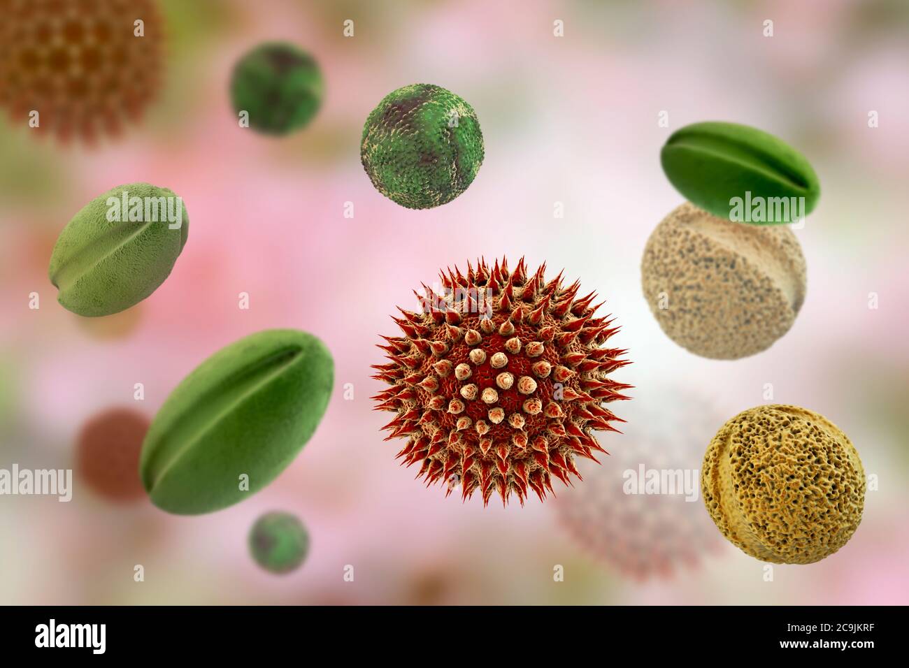 Pollen grains from different plants, computer illustration. Pollen