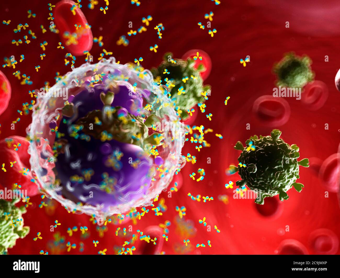 Antibodies attacking a virus, computer illustration Stock Photo - Alamy
