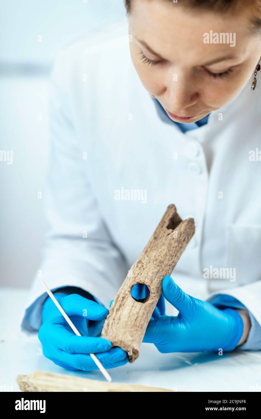 Archaeology researchers in laboratory reconstruct ancient tools Stock ...