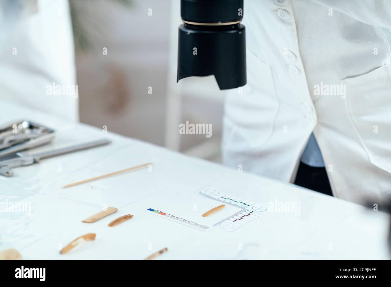 Lithic Analysis Lab Lithic analysis hi-res stock photography and images - Alamy