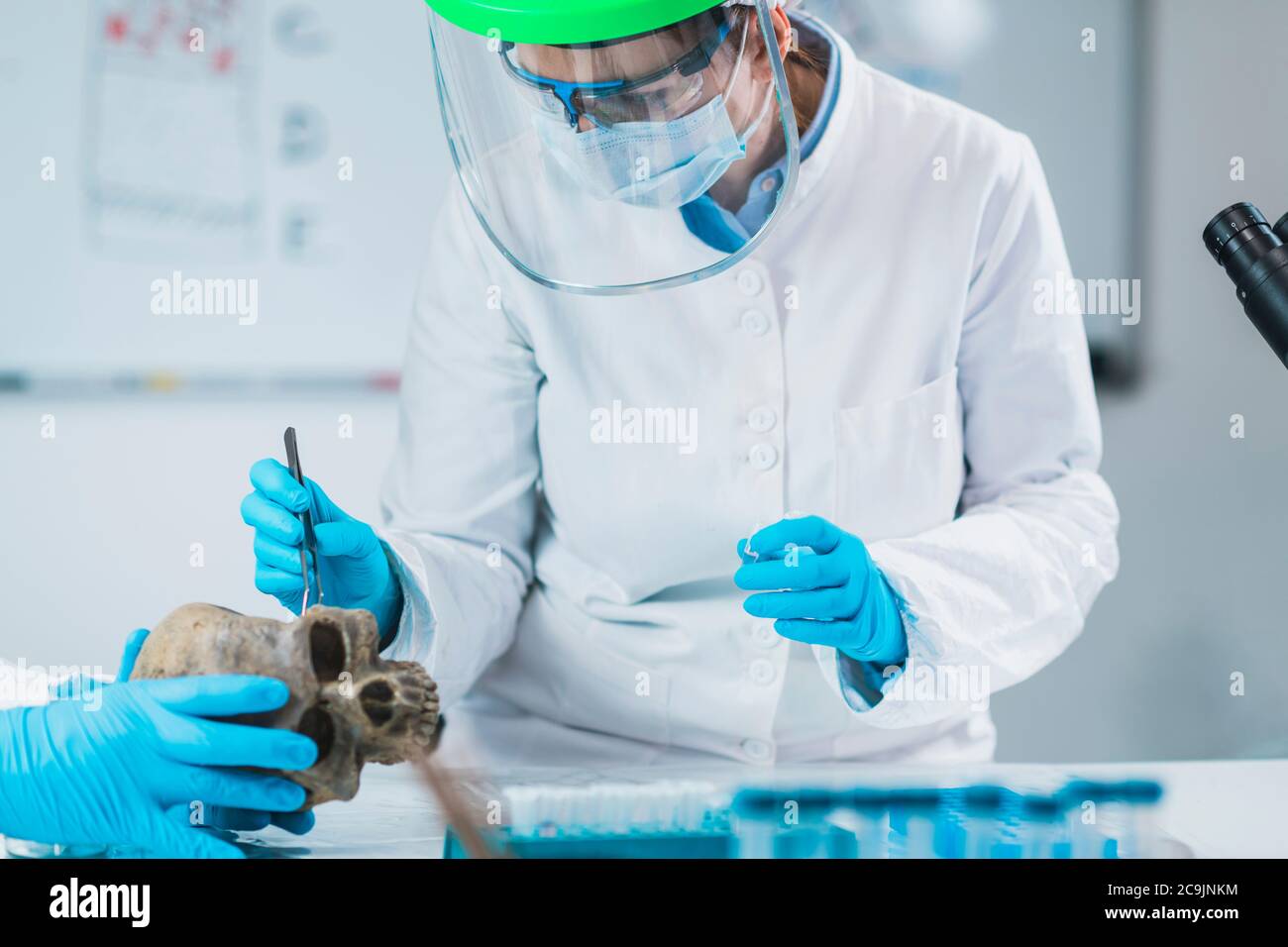 Bioarcheology. Young female archaeologist analyzing human skull in ...