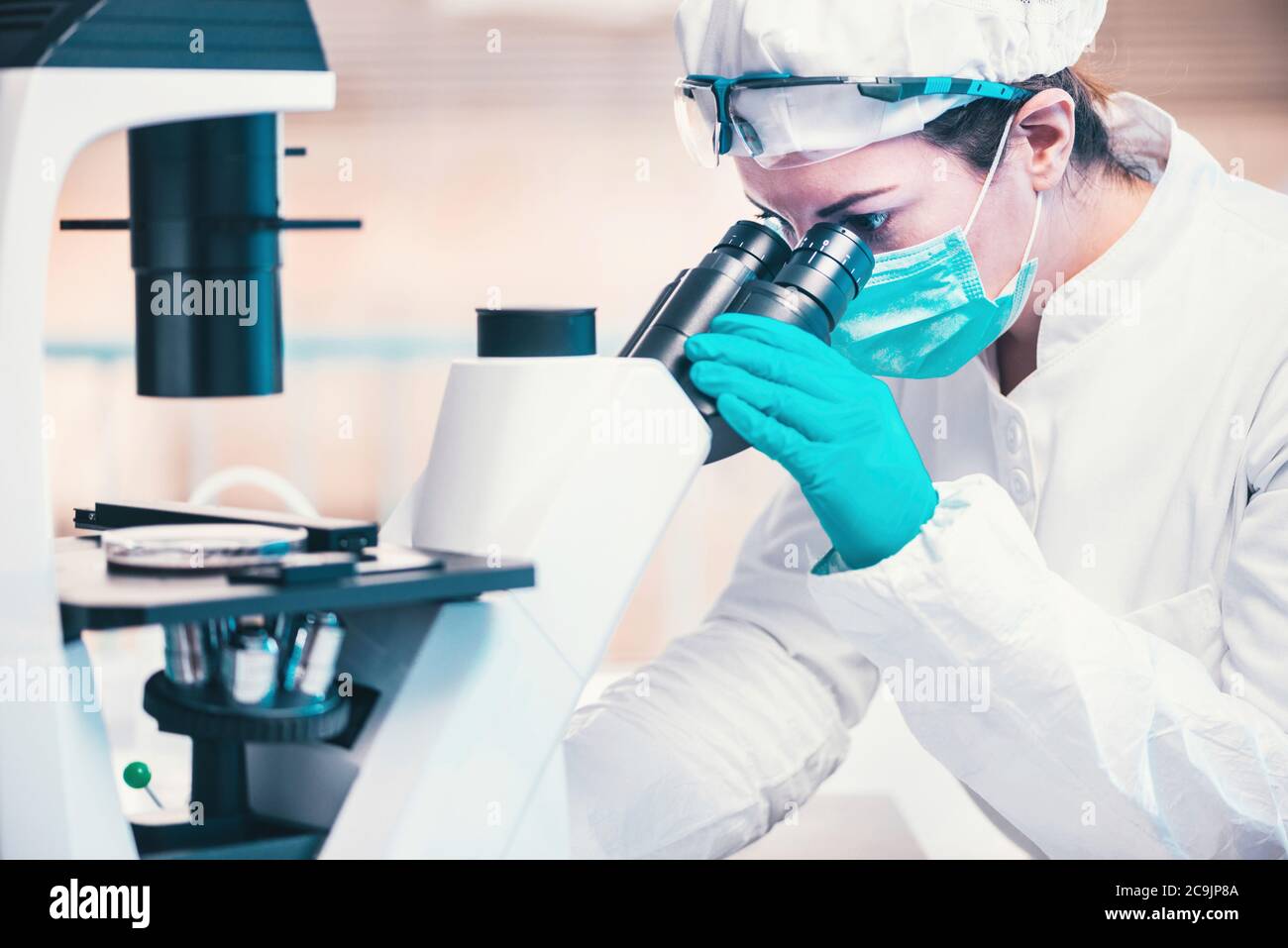 Examining petri dish under microscope Stock Photo - Alamy