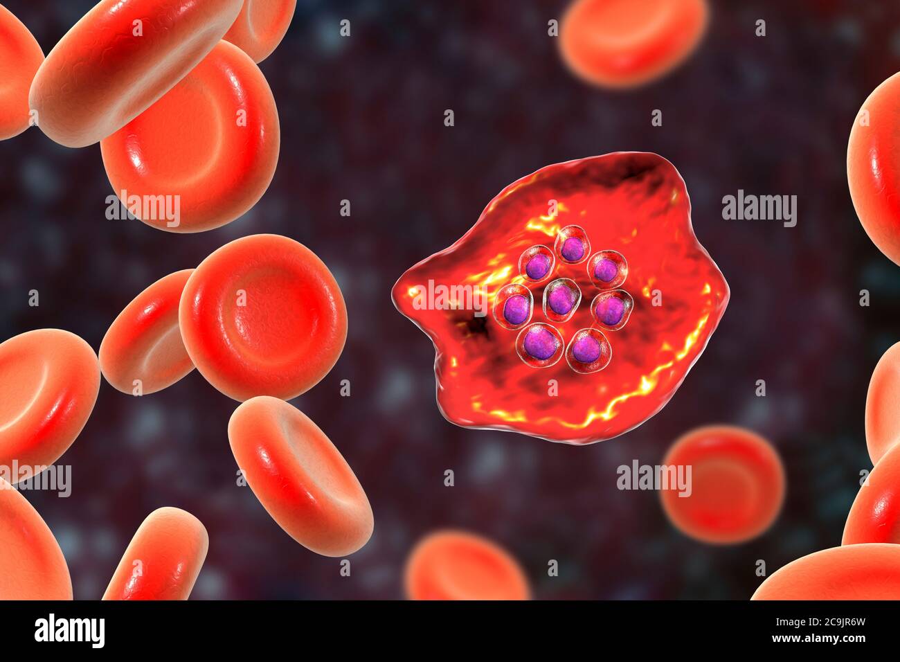 Causative Agent Of Malaria