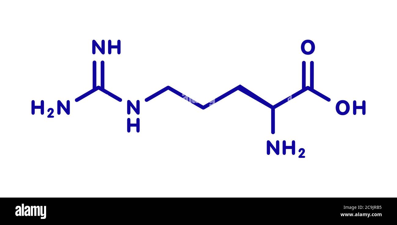 Arginine (Larginine, Arg, R) amino acid molecule. Blue skeletal