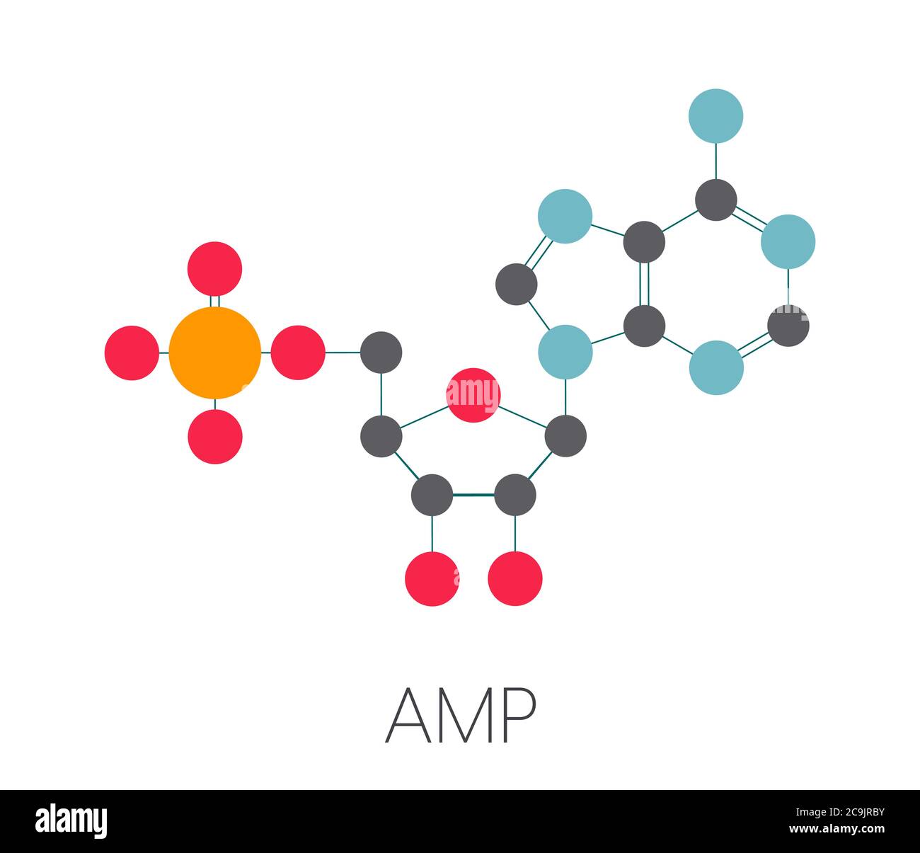 Amp Molecule