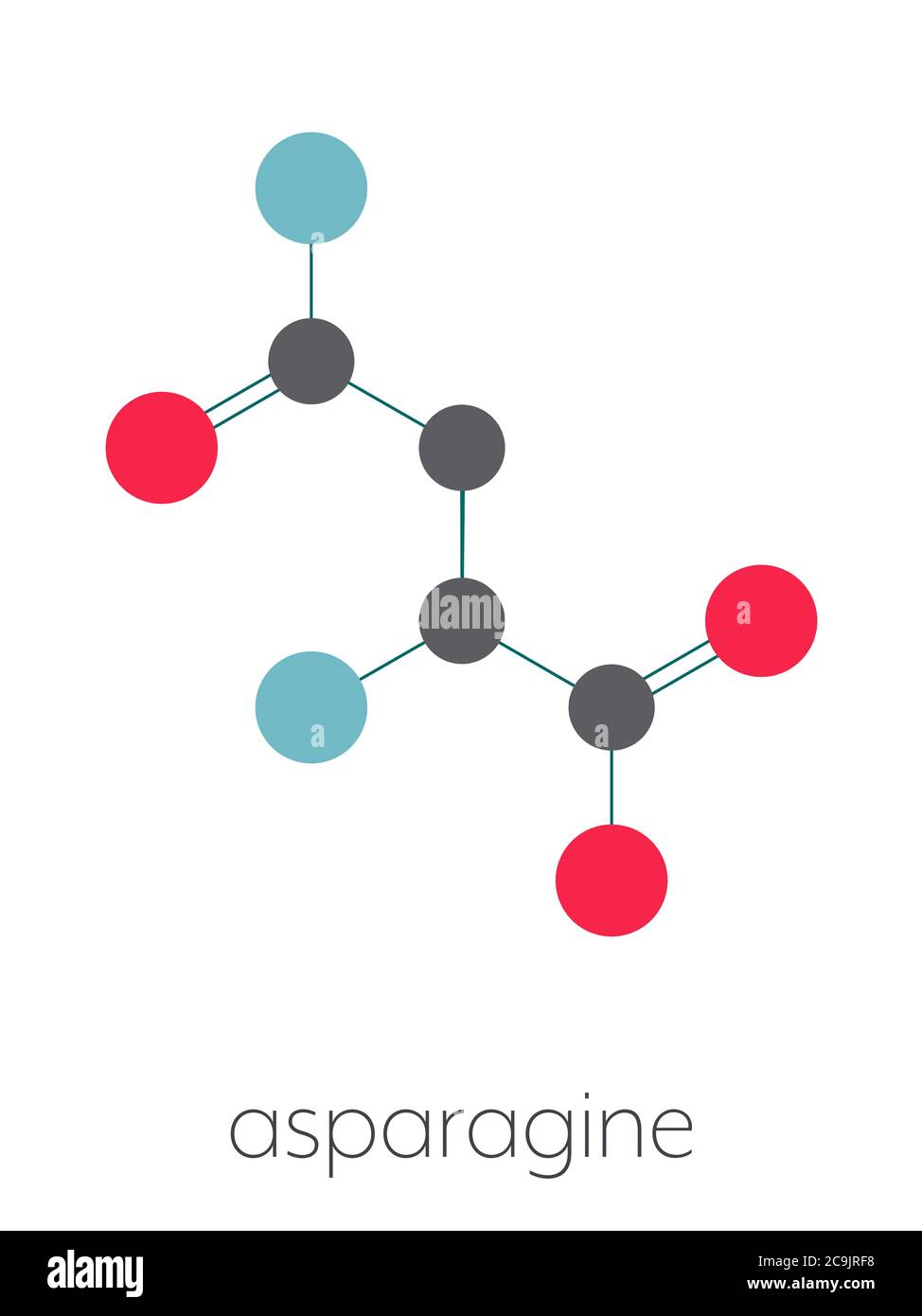 Asparagine (L-asparagine, Asn, N) amino acid molecule. Stylized skeletal formula (chemical structure). Atoms are shown as color-coded circles connecte Stock Photo