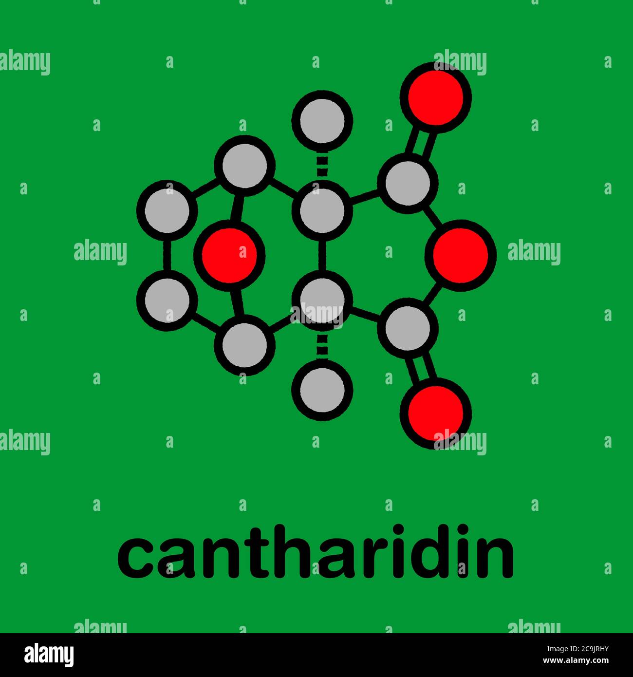 Cantharidin blister beetle poison molecule. Secreted by blister beetles