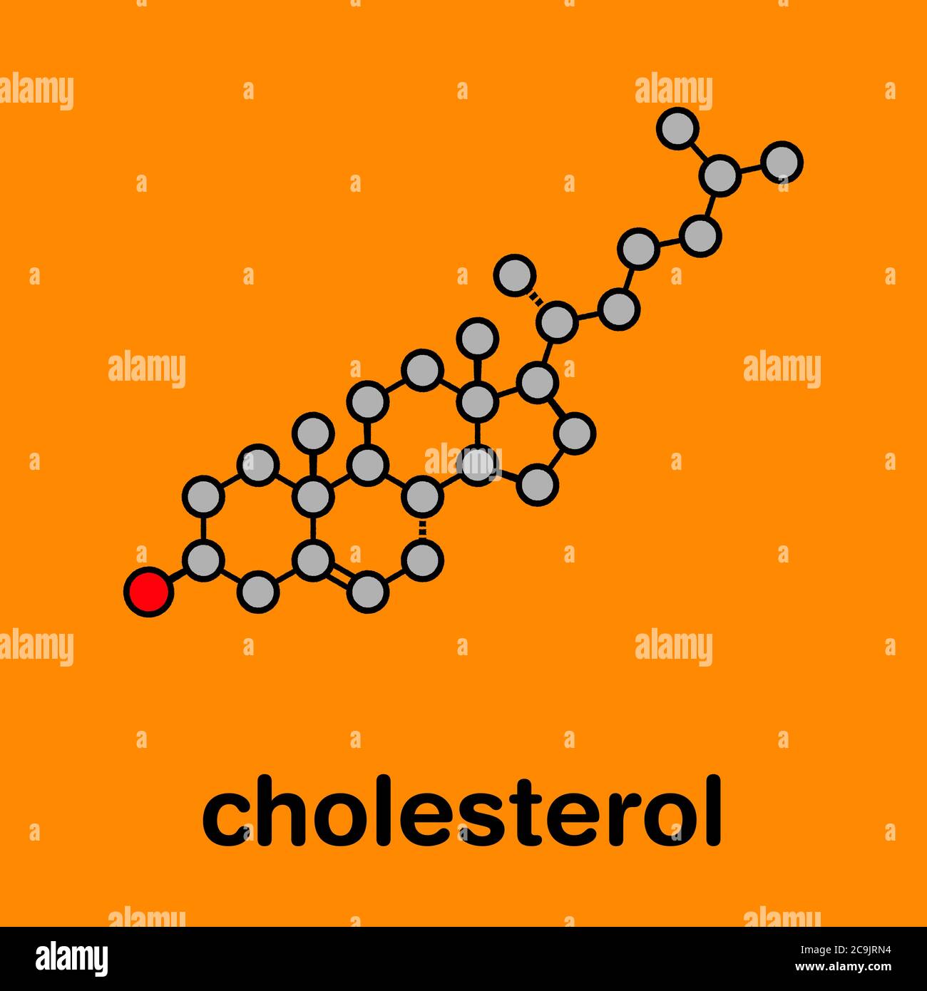 Cholesterol molecule. Essential component of cell membranes and