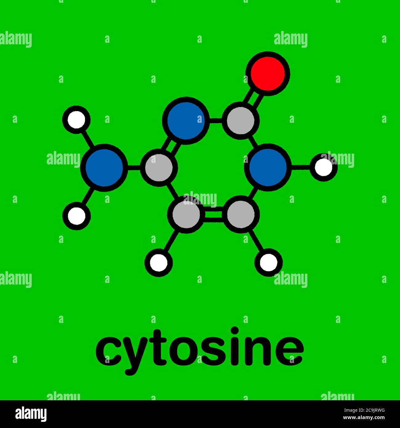 Cytosine pyrimidine nucleobase component. One of the bases found in DNA and RNA. Stylized