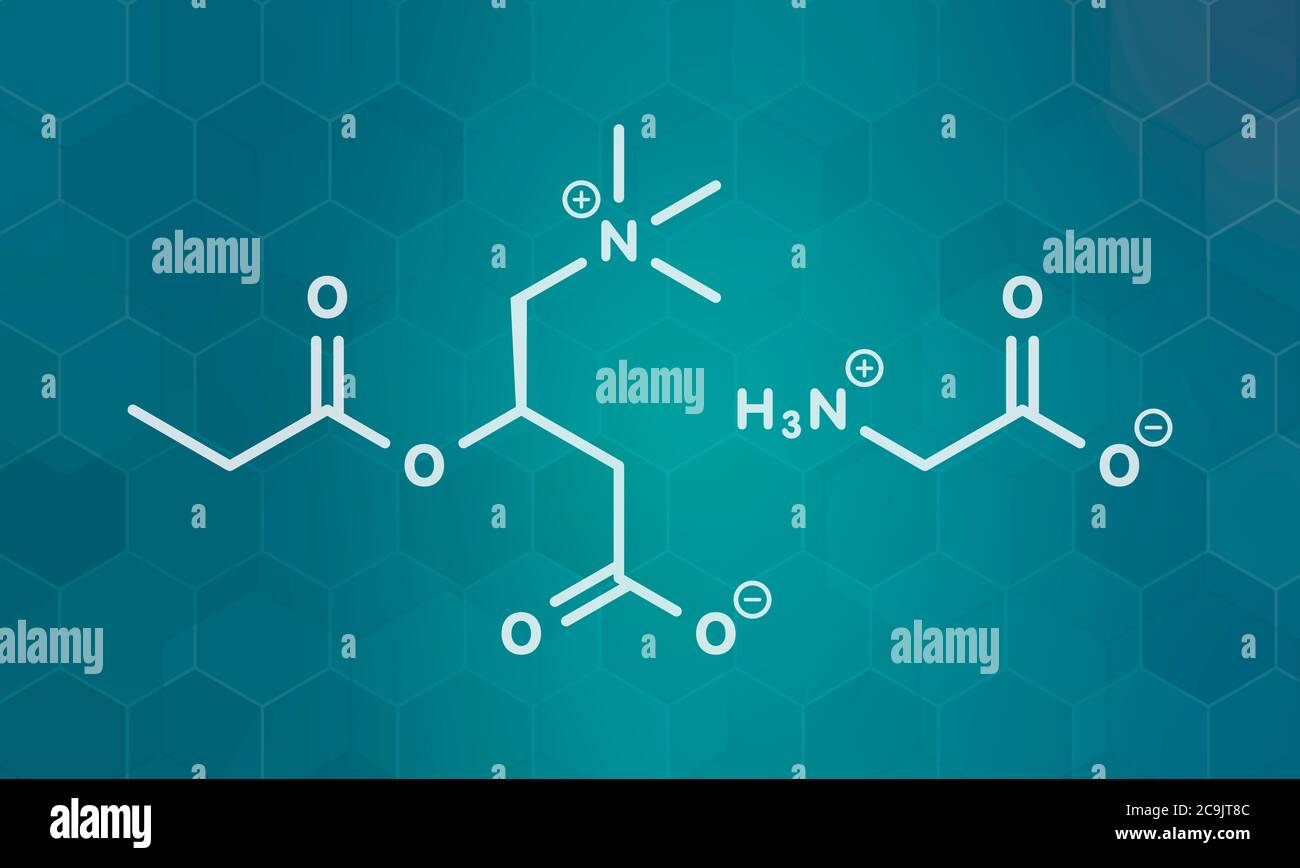 GPLC (glycine propionylLcarnitine) nutritional supplement molecule