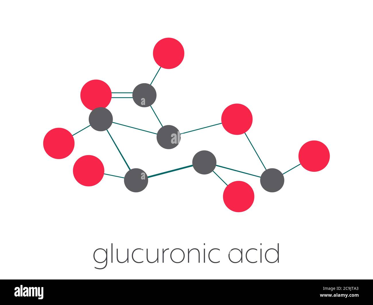 Glucuronic acid molecule. Glucuronidation of xenobiotics plays role in drug metabolism, giving glucuronides. Stylized skeletal formula (chemical struc Stock Photo