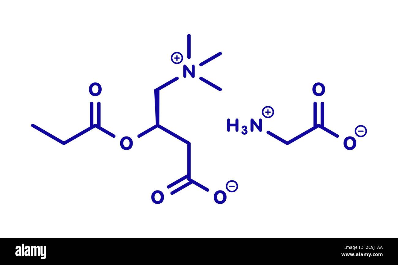 GPLC (glycine propionylLcarnitine) nutritional supplement molecule