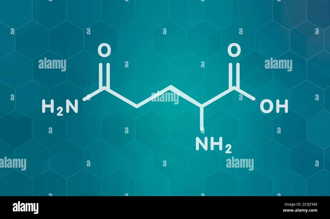 Glutamine (lglutamine, Gln, Q) amino acid molecule. White skeletal