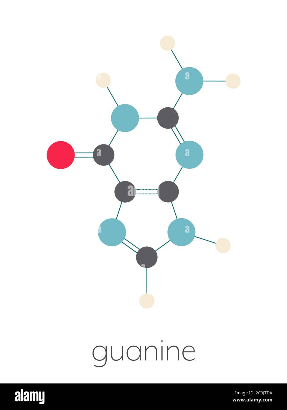 Guanine (G) purine nucleobase molecule. Base present in DNA and RNA