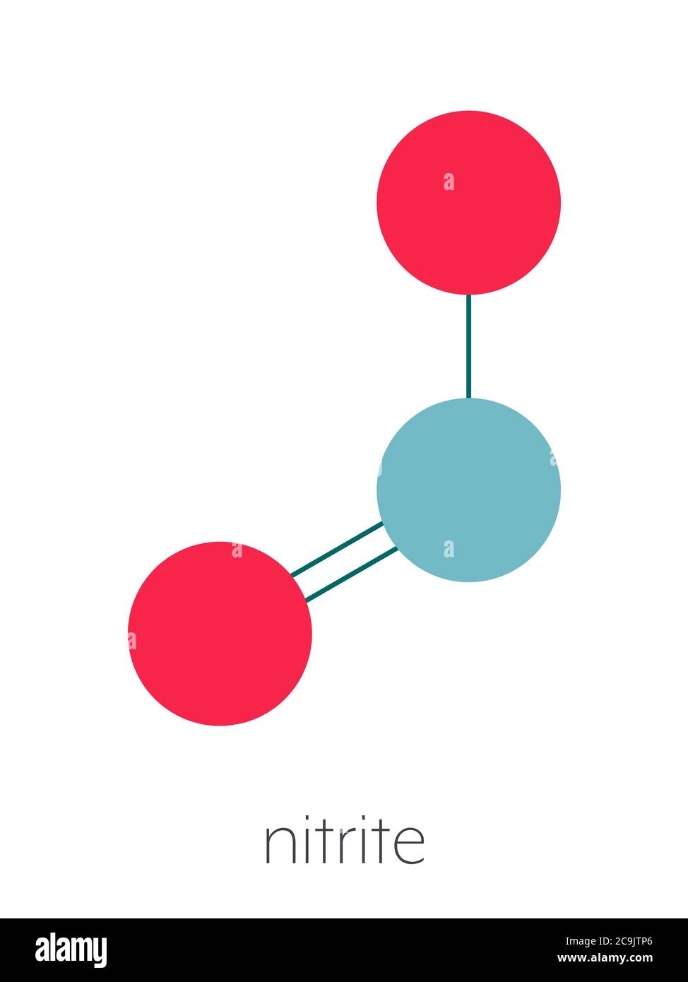Nitrite (NO2) anion. Nitrite salts are used in the curing of meat