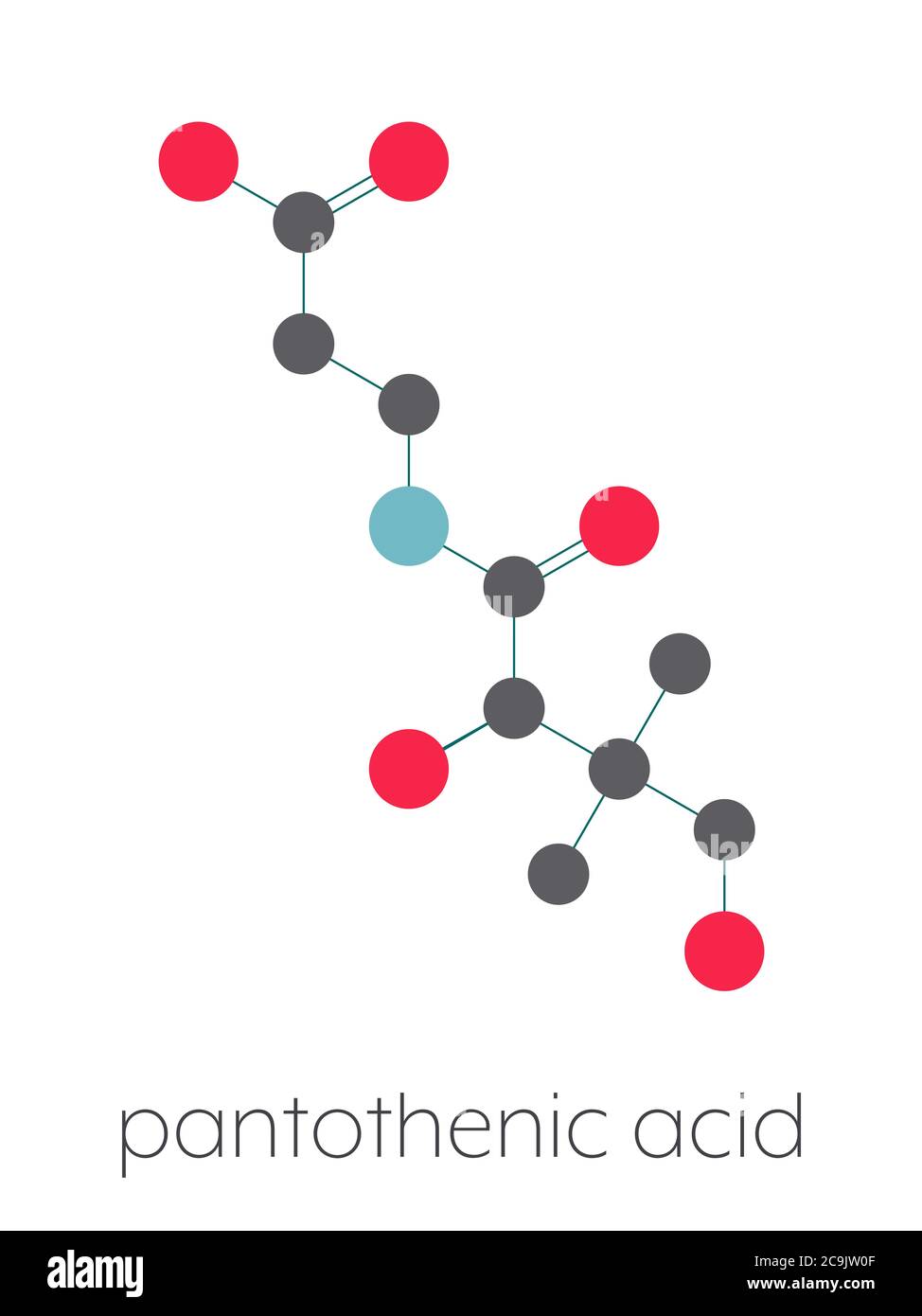 Vitamin B5 (pantothenic acid, pantothenate) molecule. Stylized skeletal