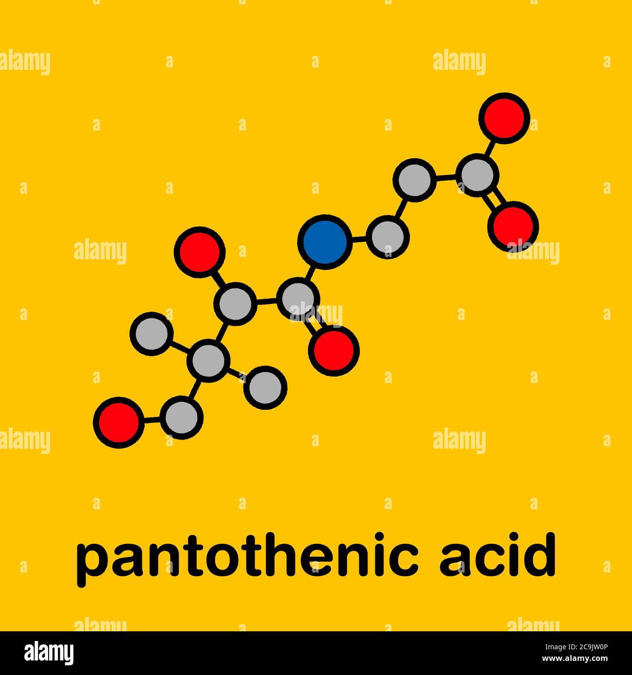 Vitamin B5 (pantothenic acid, pantothenate) molecule. Stylized skeletal