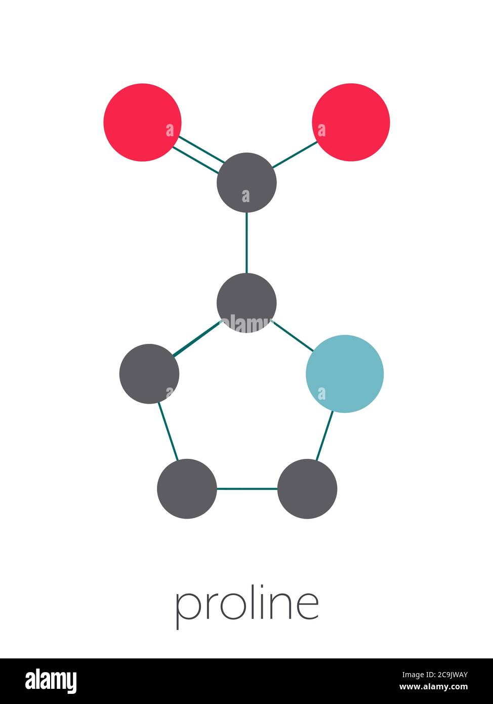 Proline (l-proline, Pro) amino acid molecule. Stylized skeletal formula (chemical structure). Atoms are shown as color-coded circles connected by thin Stock Photo