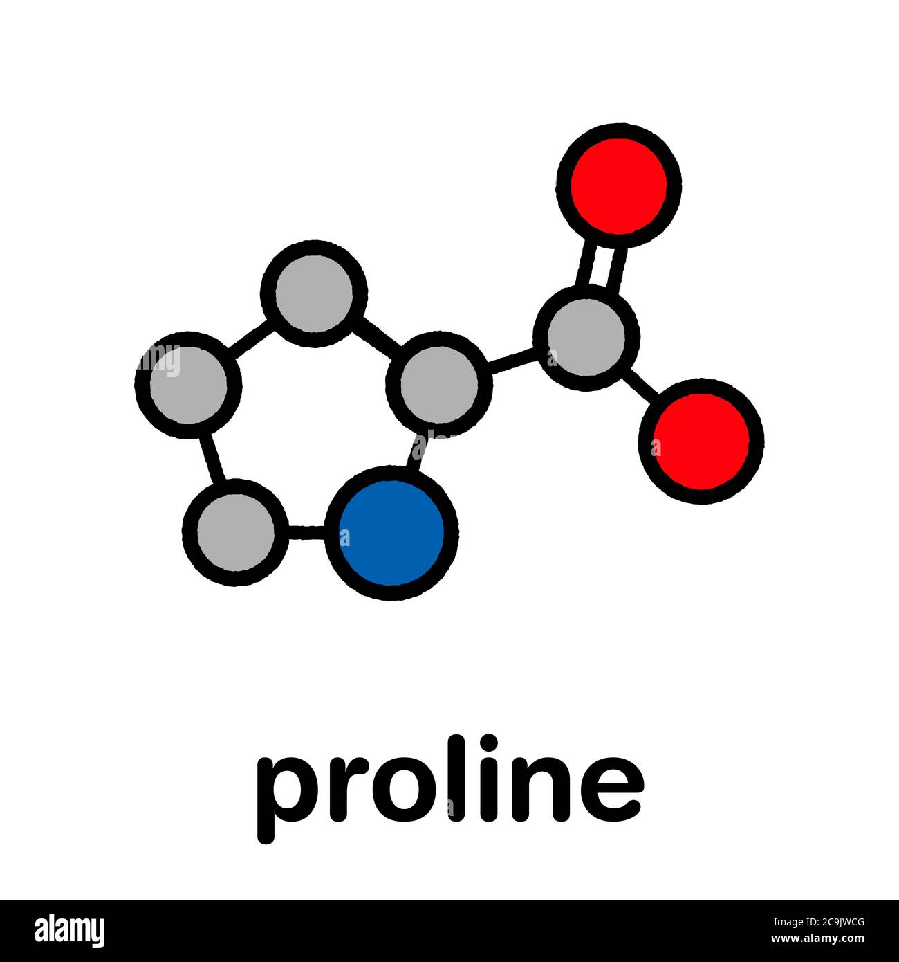 Proline (l-proline, Pro) amino acid molecule. Stylized skeletal formula (chemical structure). Atoms are shown as color-coded circles with thick black Stock Photo