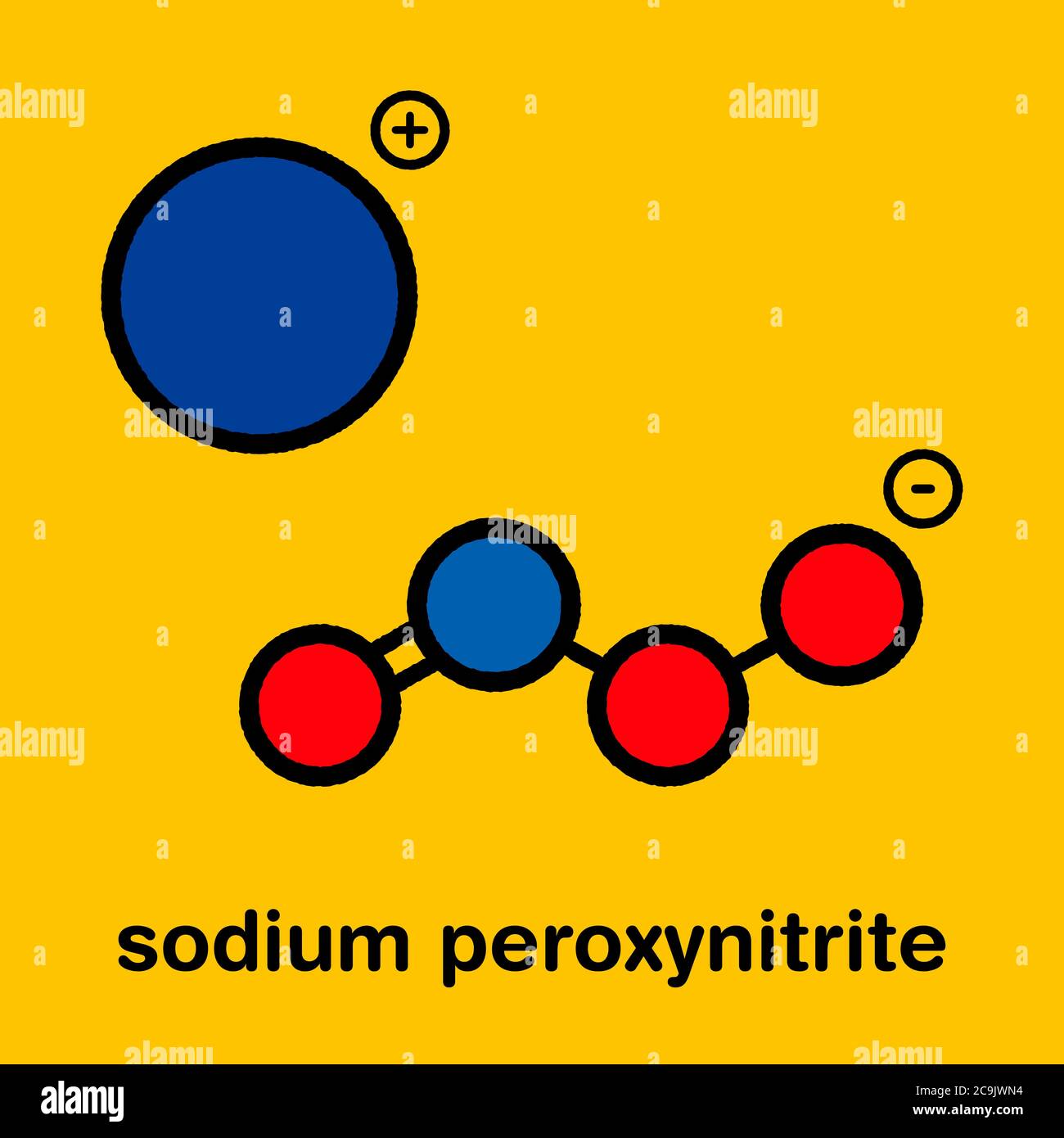 Peroxynitrite (sodium) reactive nitrogen species molecule. Formed by