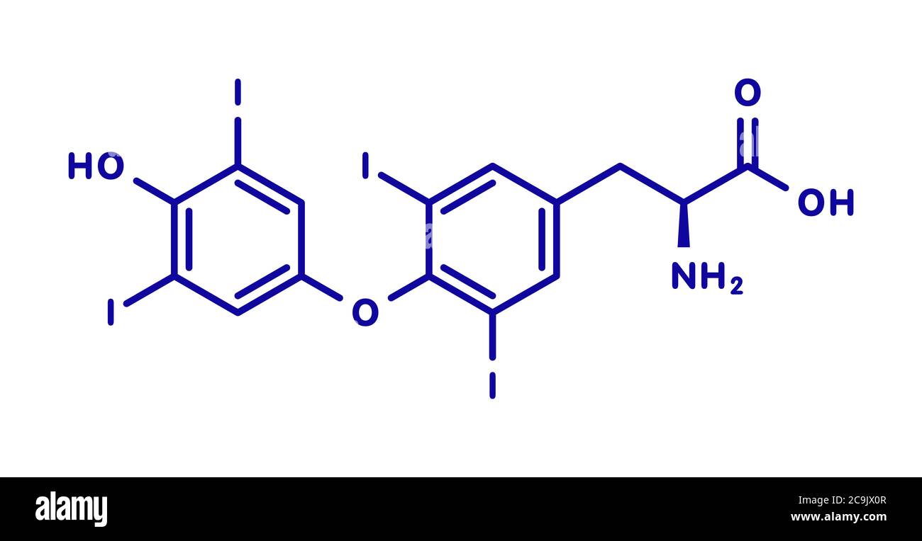 Thyroxin High Resolution Stock Photography and Images Alamy