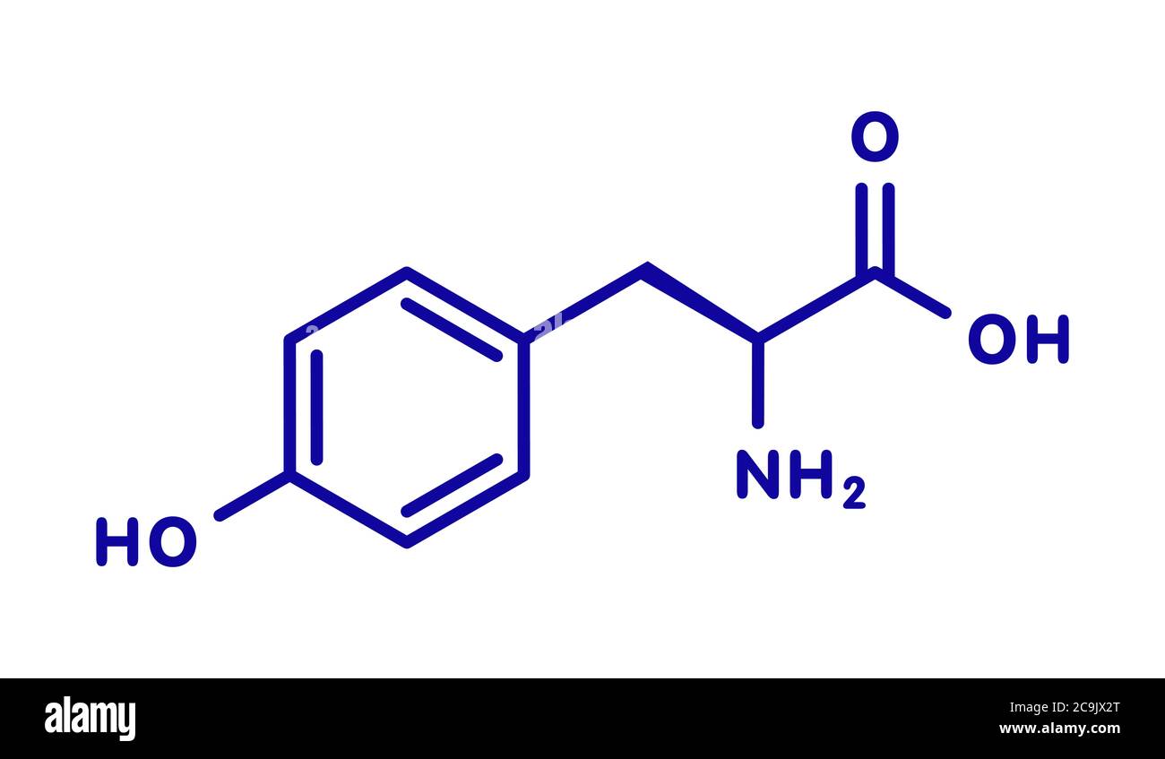 Tyrosine (l-tyrosine, Tyr, Y) amino acid molecule. Blue skeletal formula on  white background Stock Photo - Alamy