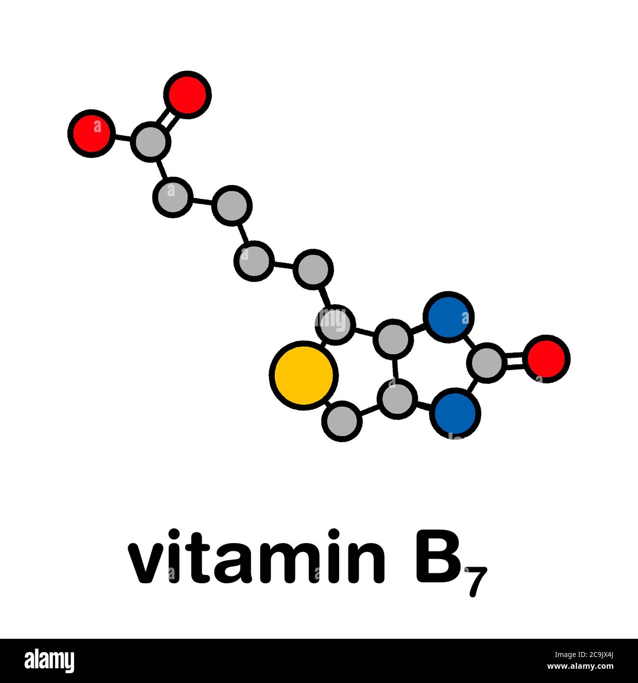 Vitamin B7 (biotin) molecule. Stylized skeletal formula (chemical