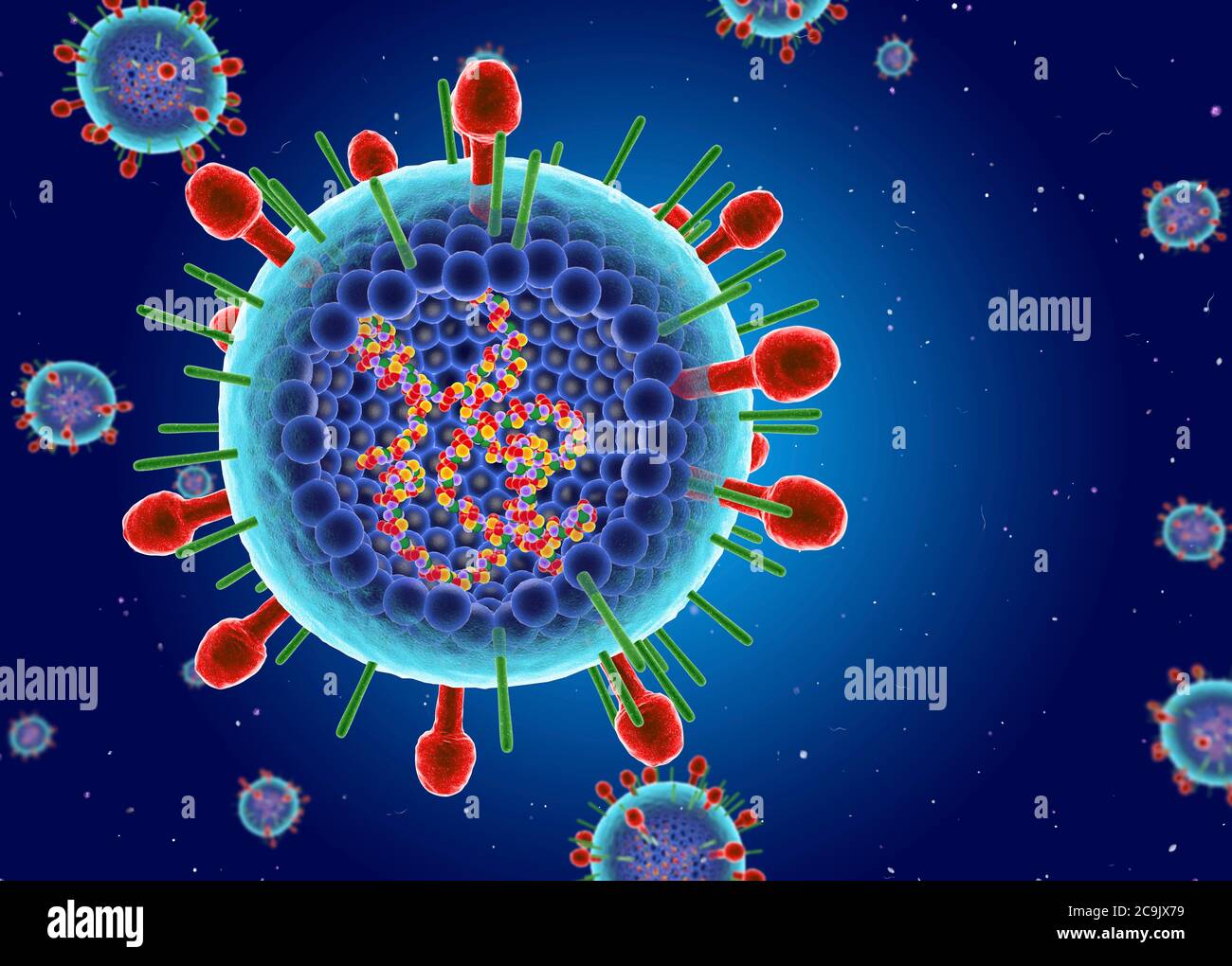 Human Respiratory syncytial virus (HRSV). Illustration showing the inner structure and RNA. This orthopneumovirus, a type of paramyxovirus, is a cause Stock Photo