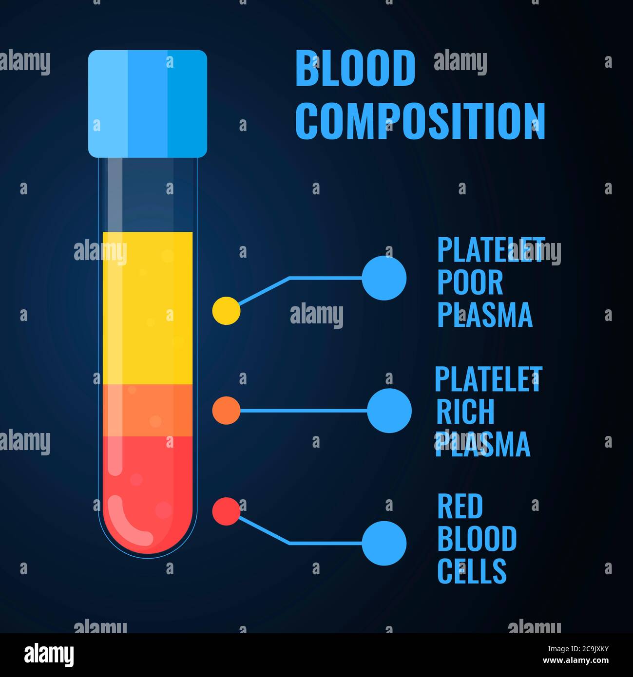Blood composition, illustration. Stock Photo