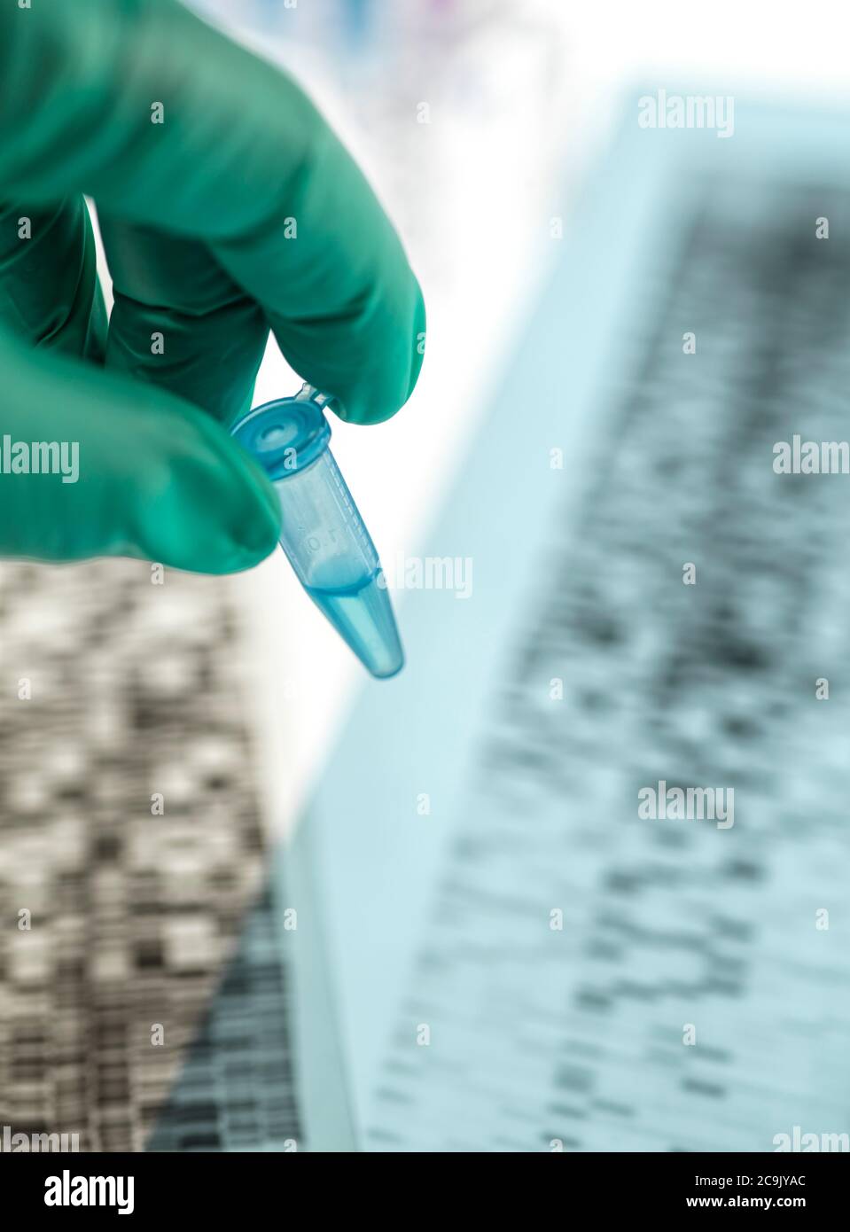 Scientist holding a sample in front of a DNA (deoxyribonucleic acid) autoradiogram on a light box. Stock Photo