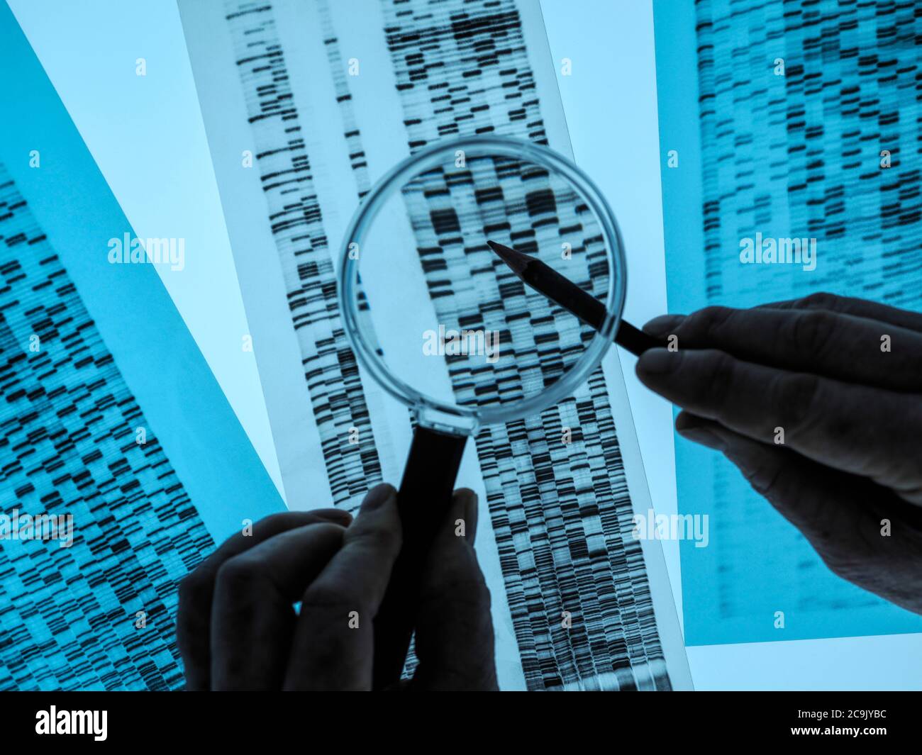 Scientist using a magnifying glass to view banding on a DNA (deoxyribonucleic acid) profile. Stock Photo