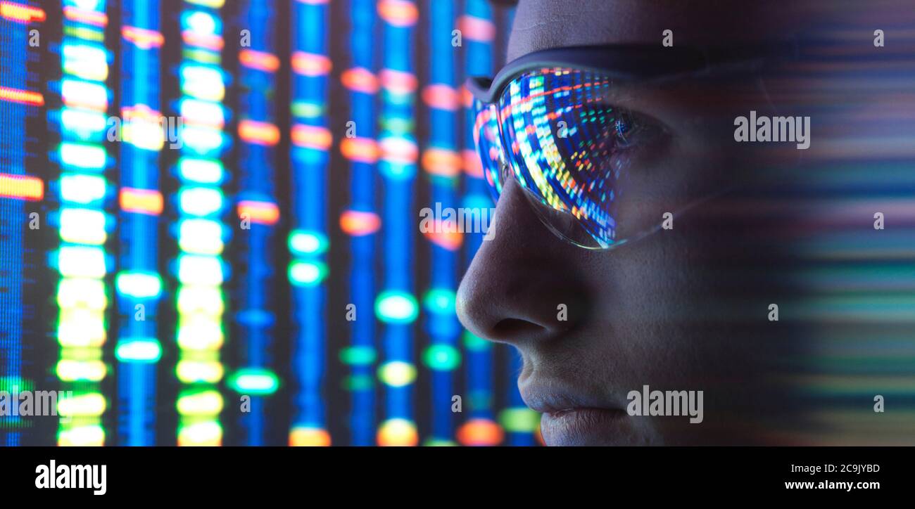 Scientist viewing DNA (deoxyribonucleic acid) profiles. Stock Photo