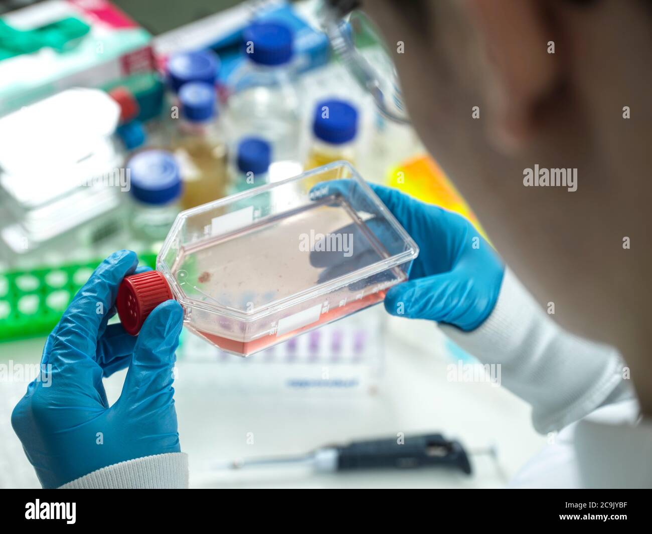 Scientist viewing a flask containing cells cultivated in red growth medium. Stock Photo