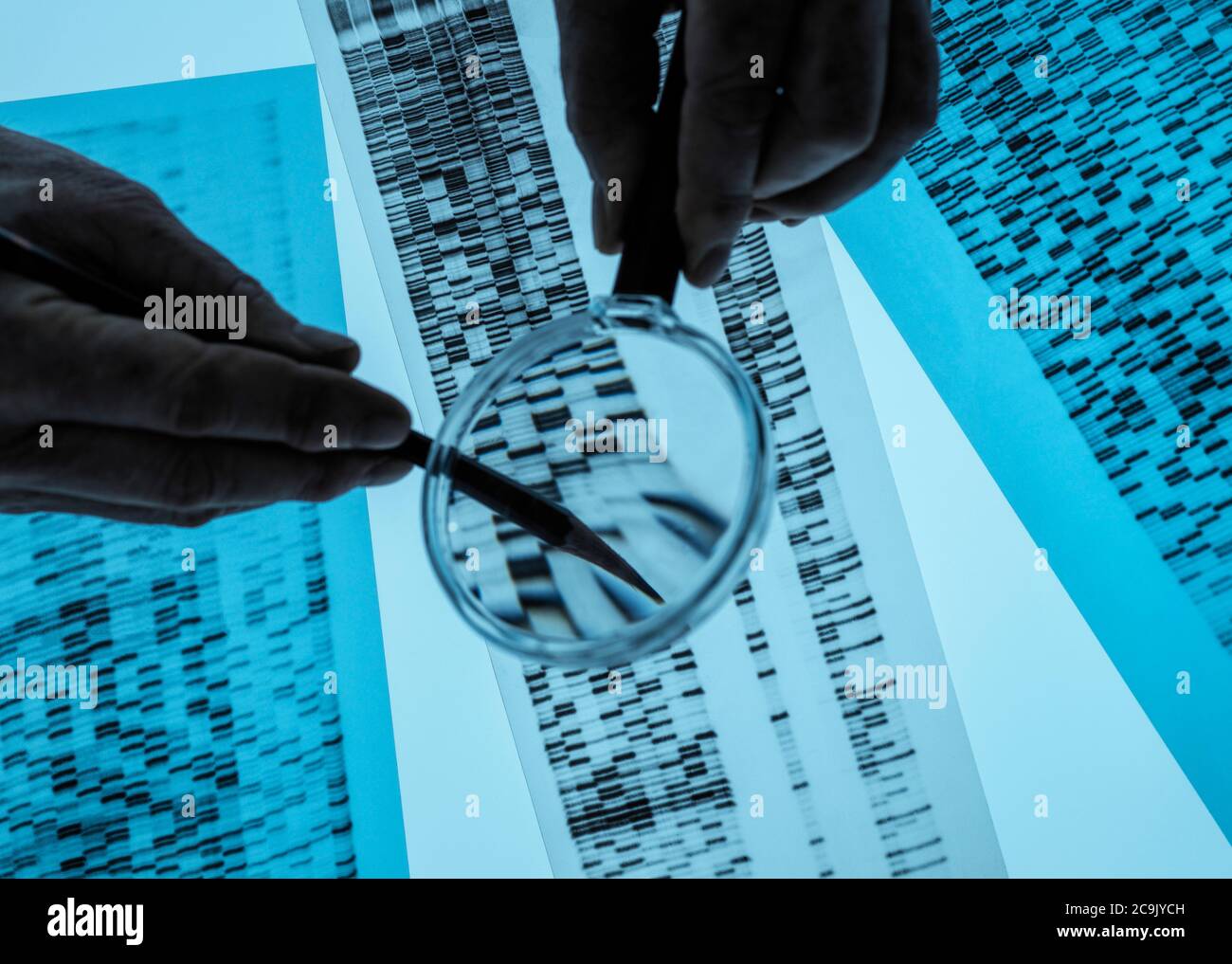 Scientist using a magnifying glass to view banding on a DNA (deoxyribonucleic acid) profile. Stock Photo