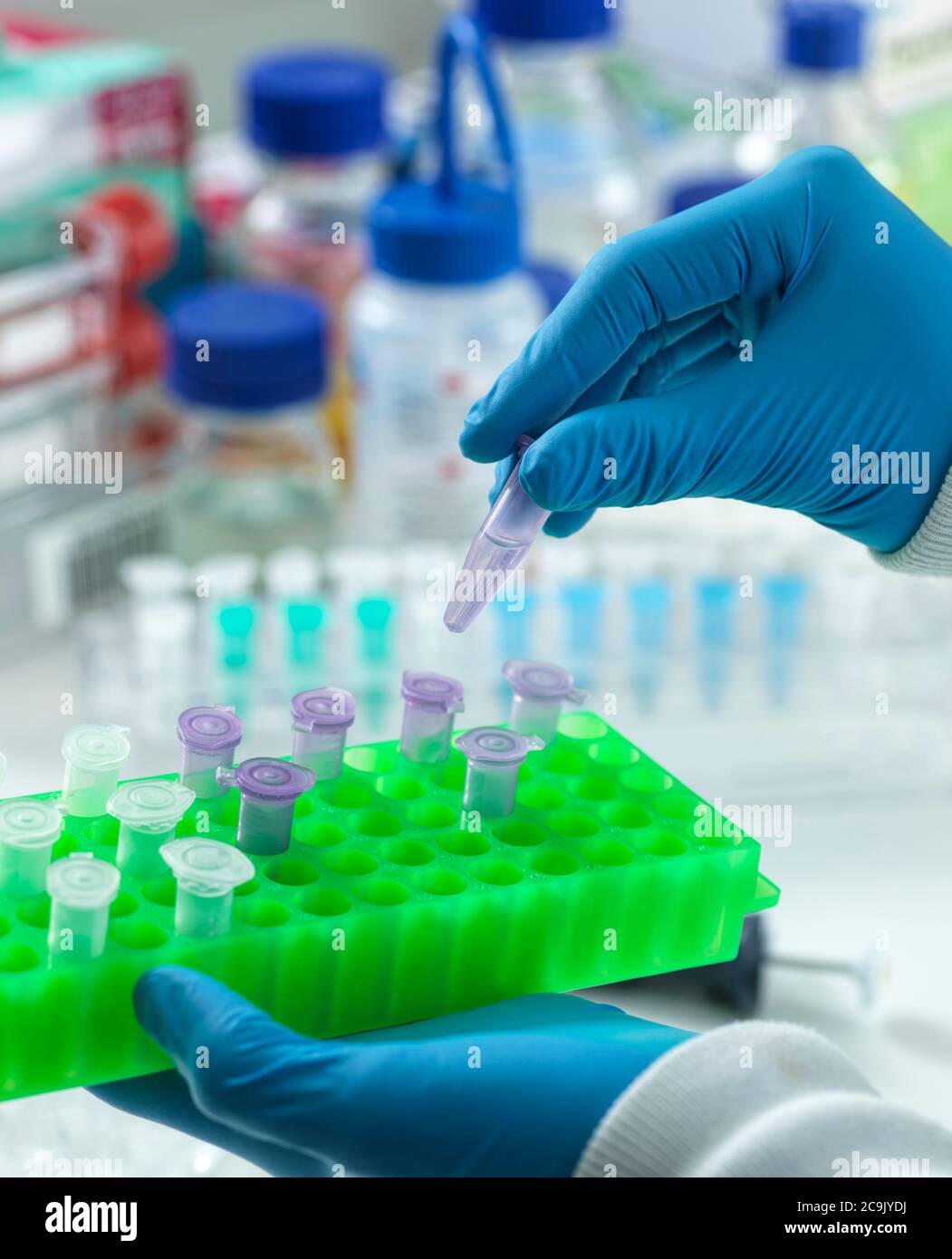Scientist preparing a sample for automated analysis in the laboratory. Stock Photo