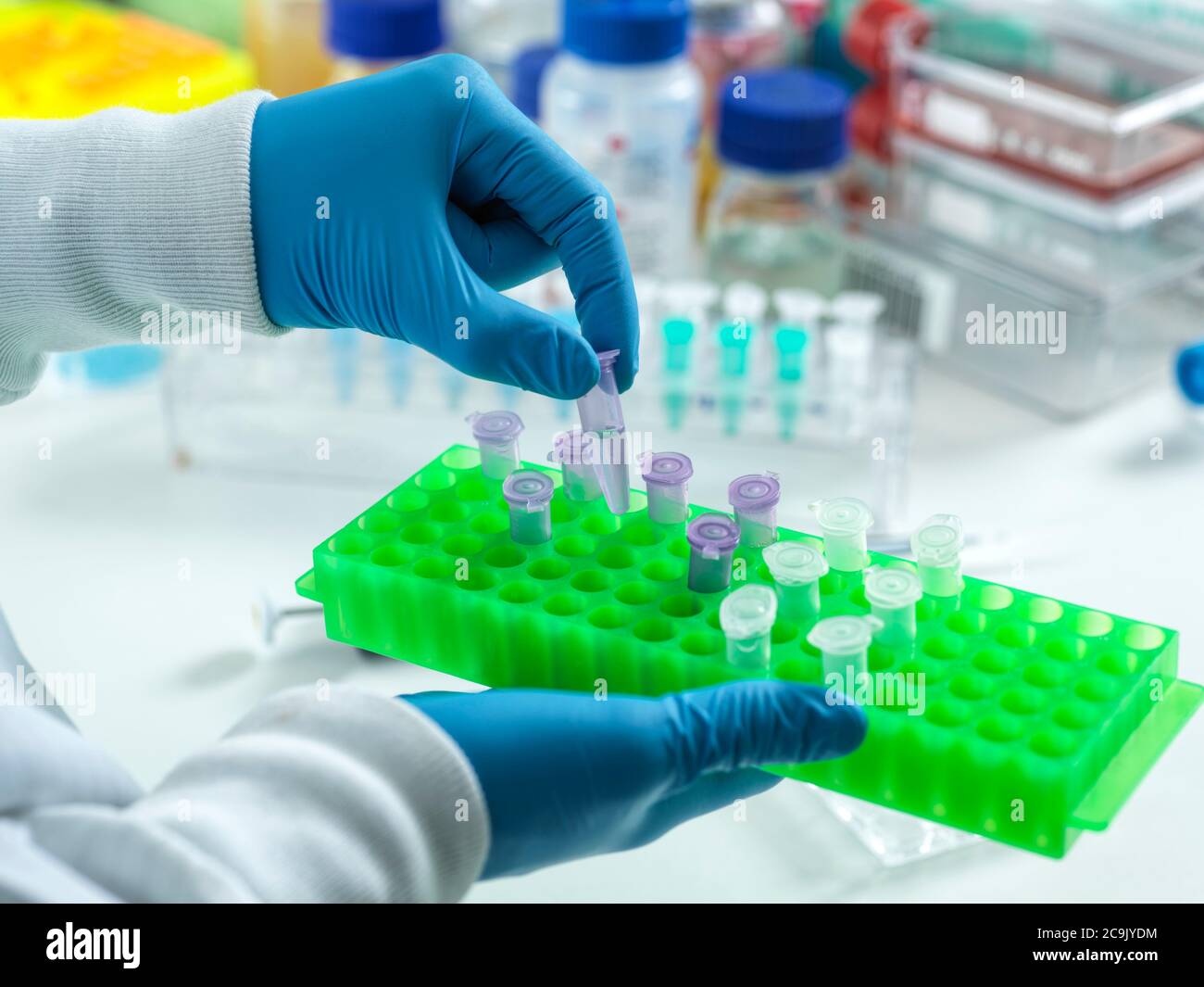 Scientist preparing a sample for automated analysis in the laboratory. Stock Photo