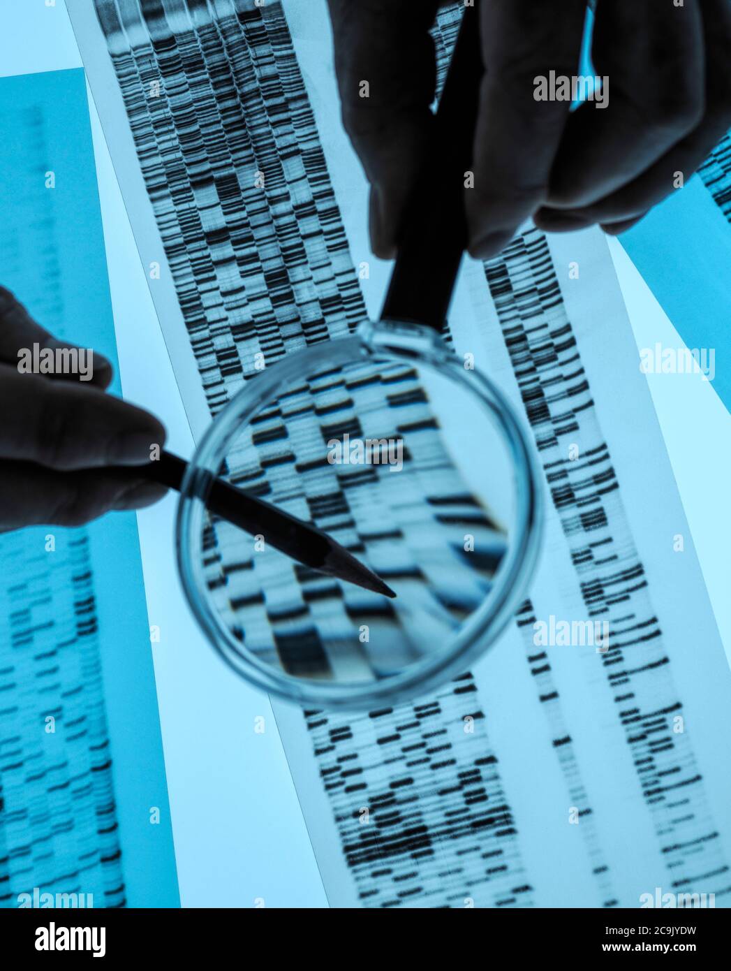 Scientist using a magnifying glass to view banding on a DNA (deoxyribonucleic acid) profile. Stock Photo
