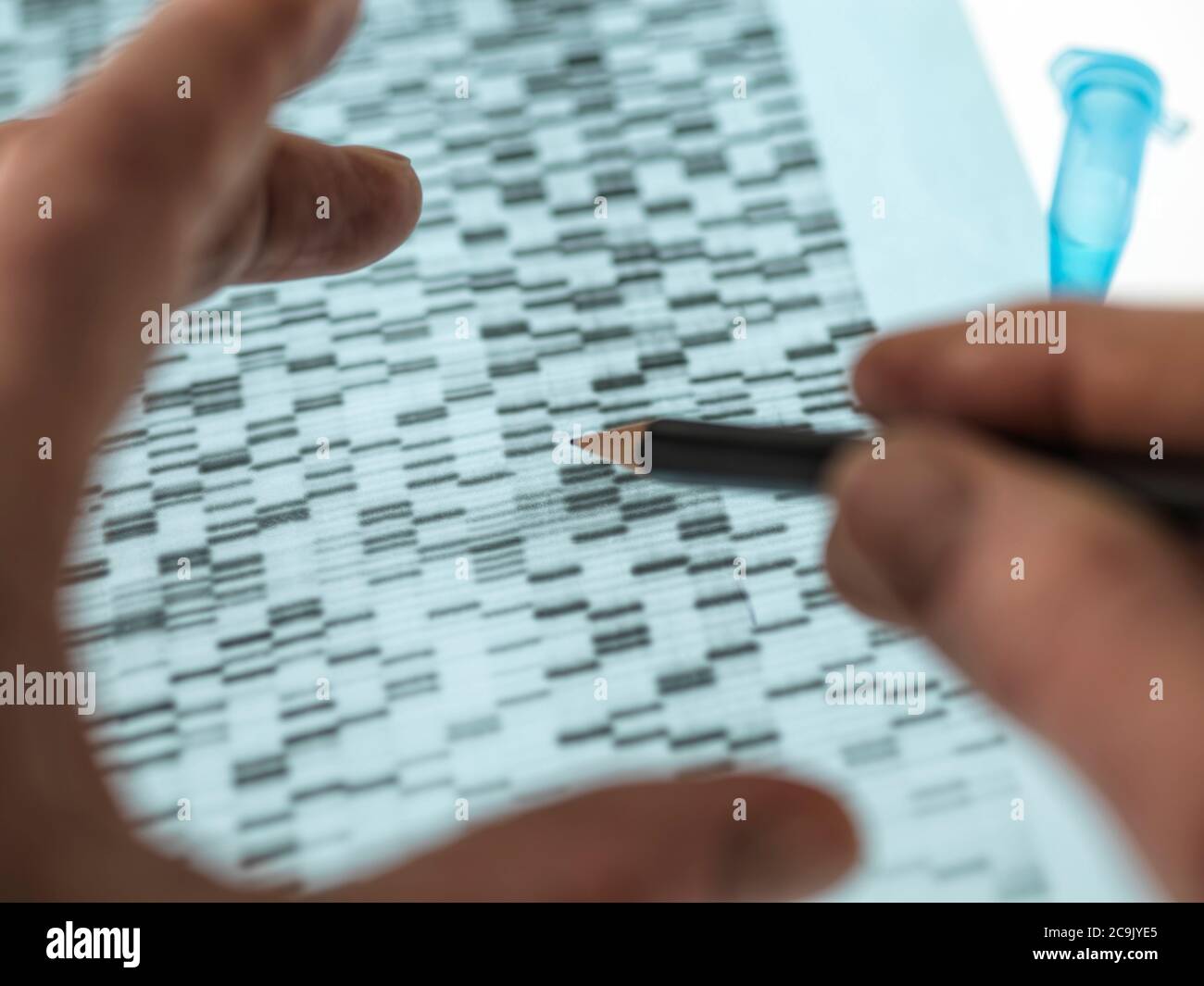 Scientist examining the results of a DNA (deoxyribonucleic acid) autoradiogram gel. Stock Photo
