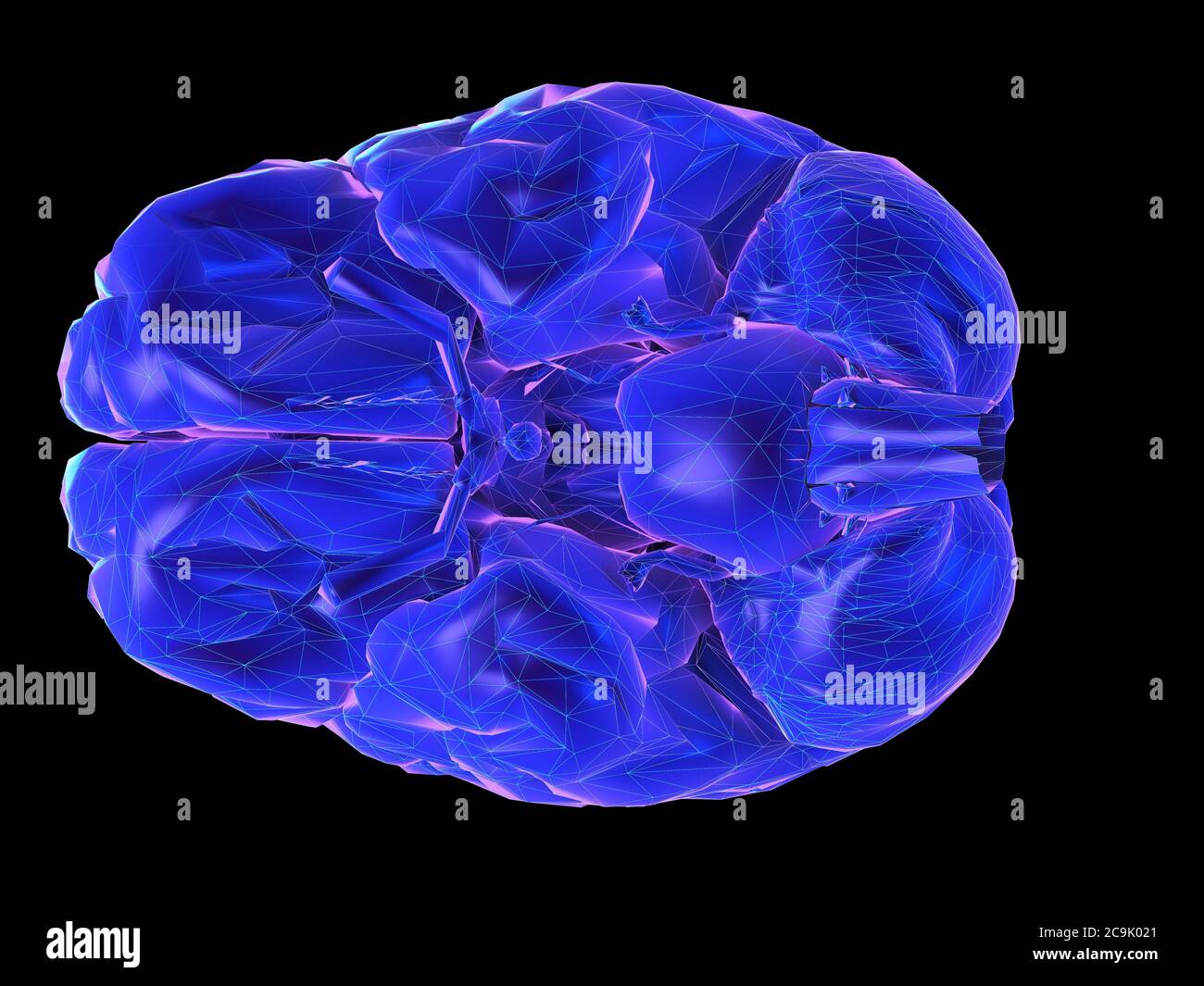 Human Brain, Illustration Stock Photo - Alamy