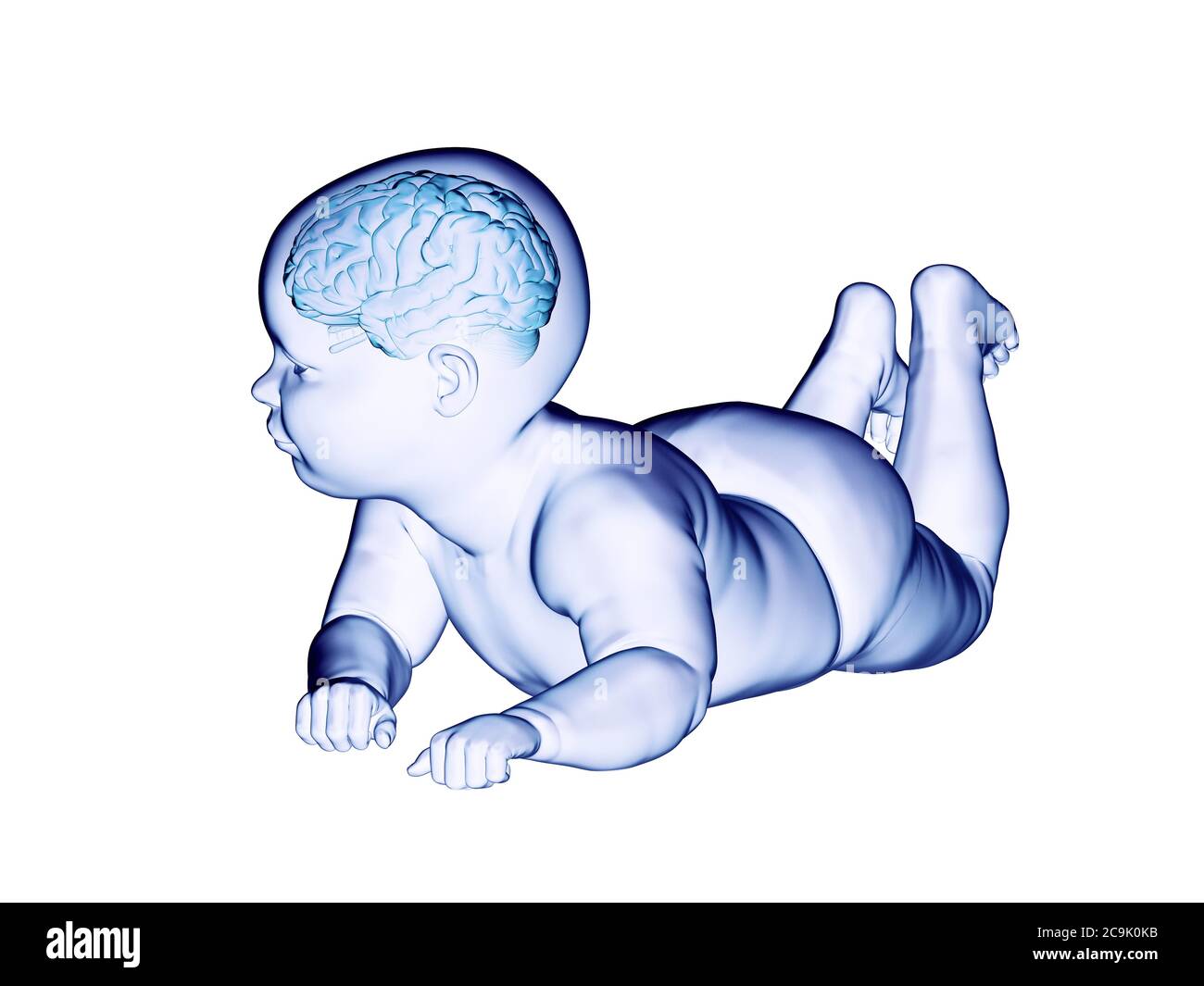 механизмы нейропластичности. пластичность мозга норман дойдж книга. показатель пластичности мозга. нейронная пластичность. пластичность мозга ребенка.