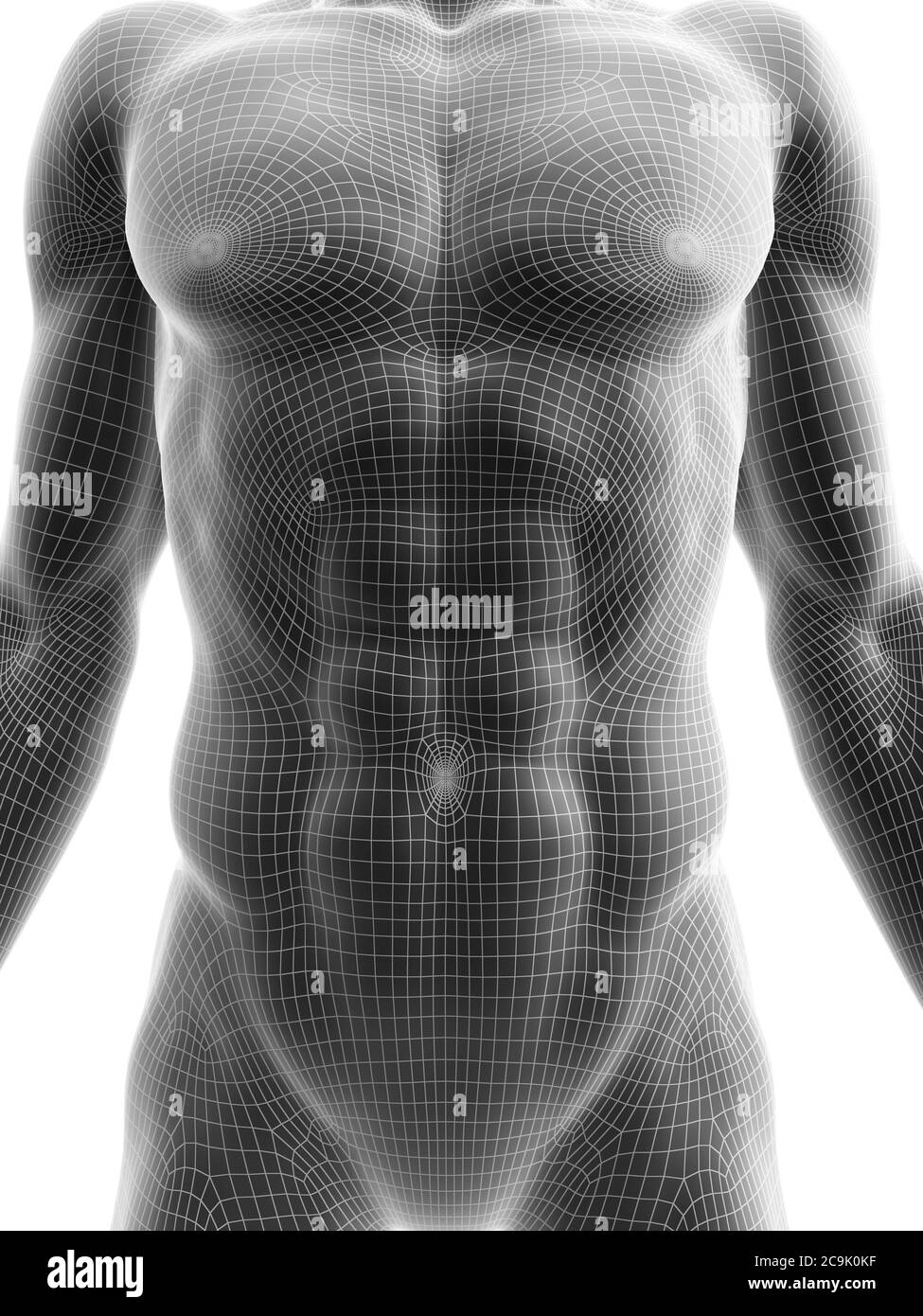 45,058 Six Pack Abs Images, Stock Photos, 3D objects, & Vectors