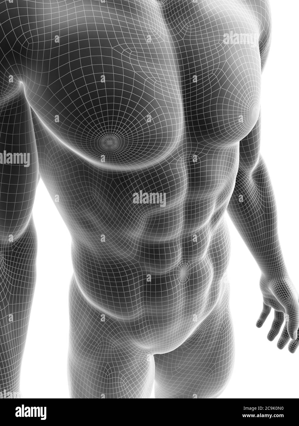 Sixpack abs, illustration. Stock Photo