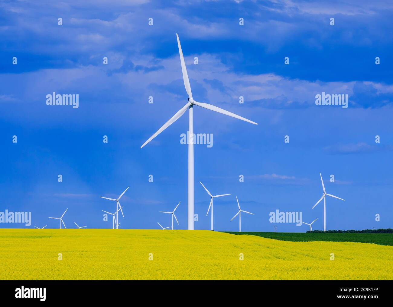 Wind energy turbines, St. Leon, Manitoba, Canada Stock Photo