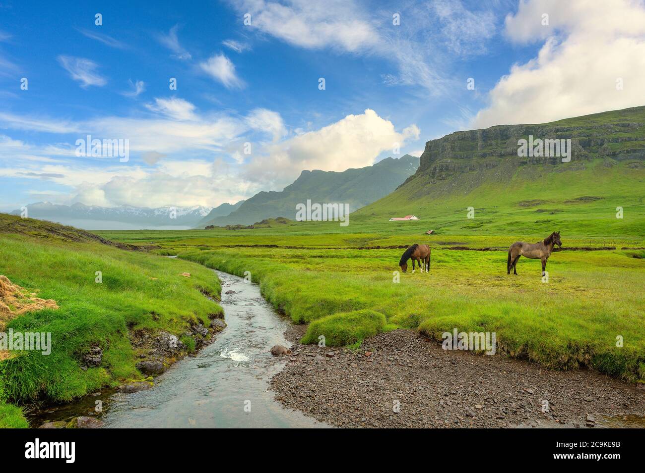 The Icelandic country farm has two horses standing in a green field, a stream and a beautiful mountain background. The atmosphere is refreshing and pe Stock Photo